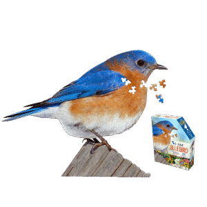 Madd Capp I AM BLUEBIRD Jigsaw Puzzle - 300 pc