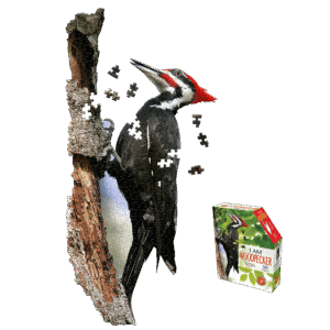 Madd Capp I AM Woodpecker - 300 pc Jigsaw Puzzle