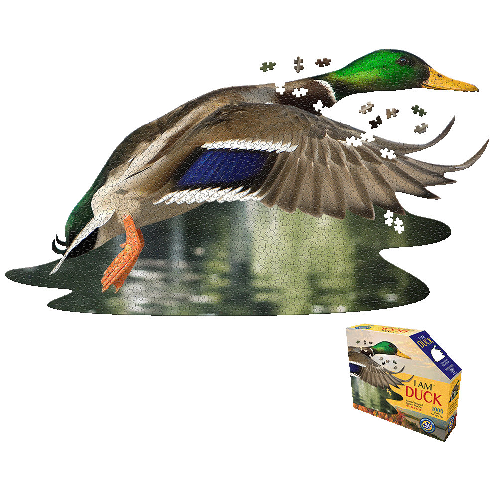 Madd Capp Duck-Themed Jigsaw Puzzle - 1000 pc
