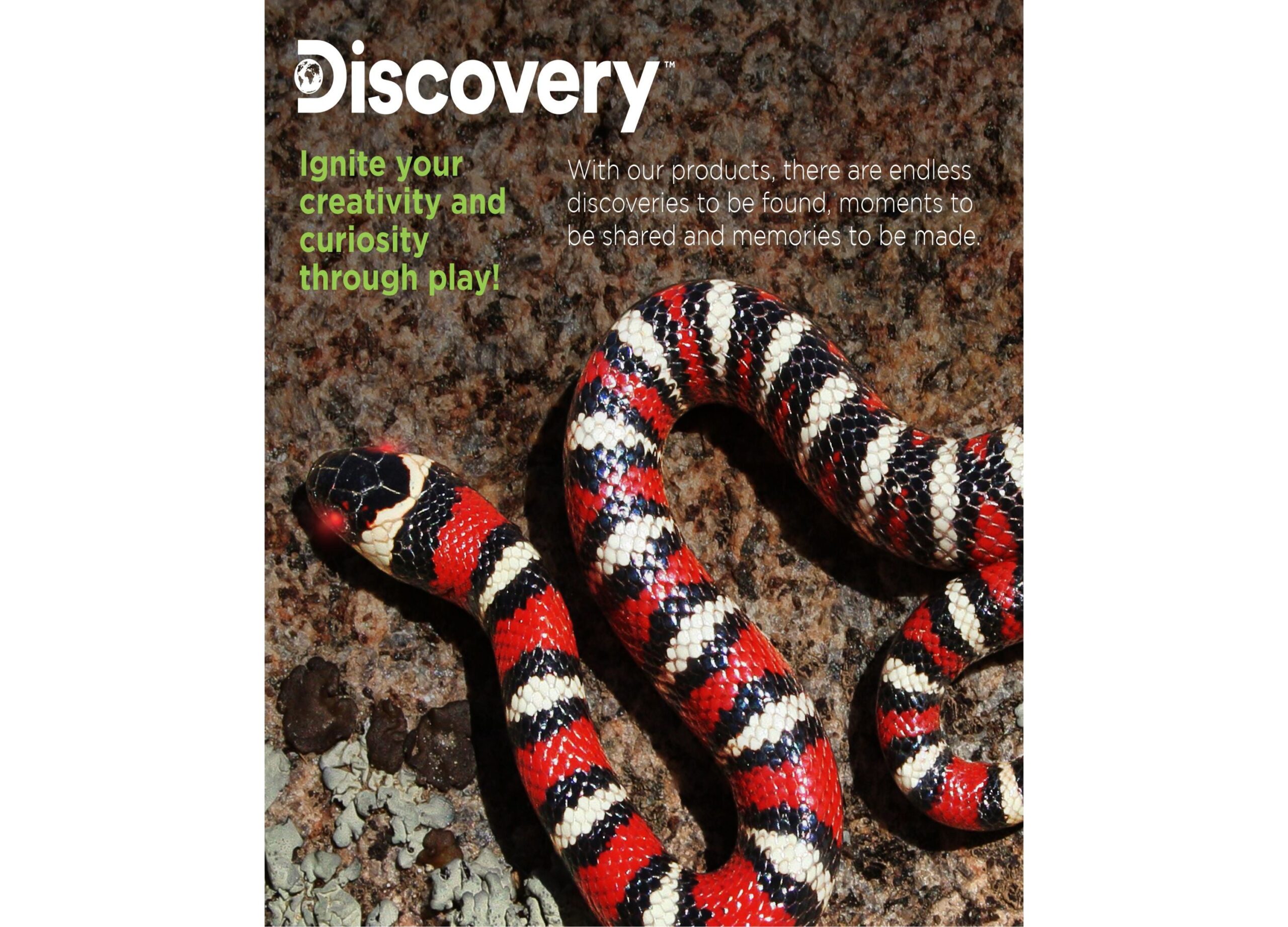 Discovery Kids Remote Control King Snake - Realistic Slithering Motion - Black - Image 8