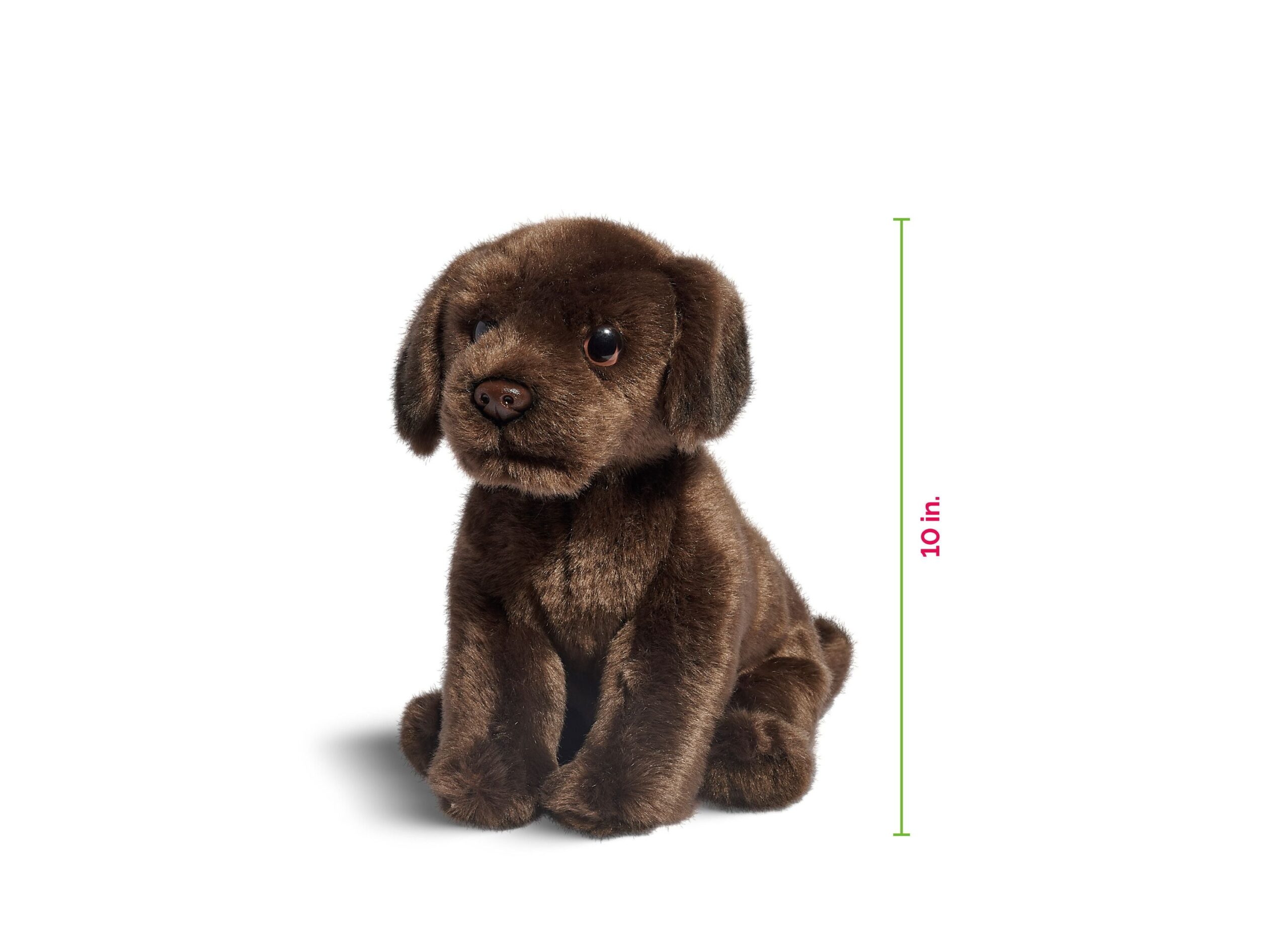 Geoffrey's Toy Box 10-inch Plush Labrador Puppy - Exclusive to Macy's - Image 6