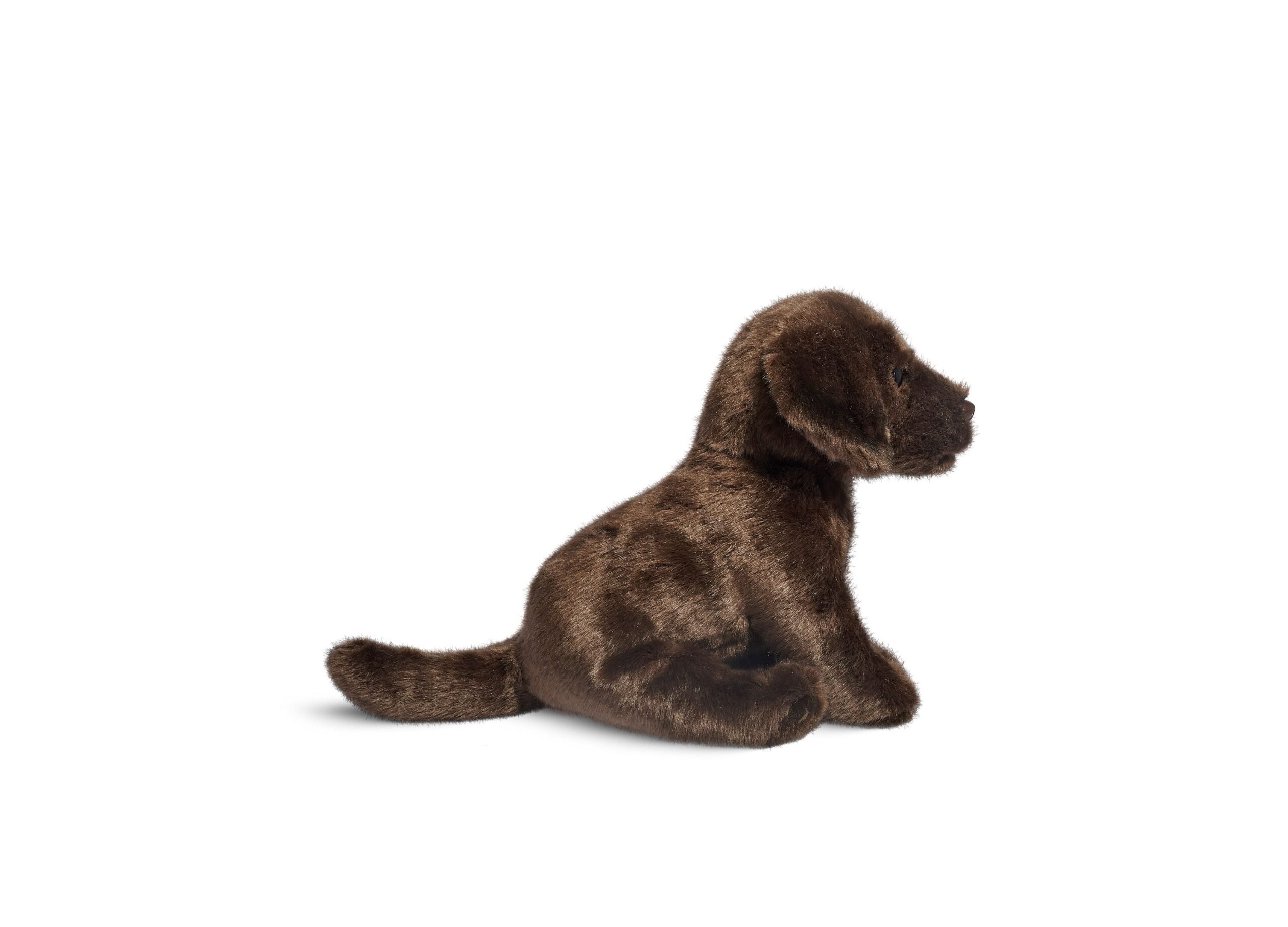 Geoffrey's Toy Box 10-inch Plush Labrador Puppy - Exclusive to Macy's - Image 5