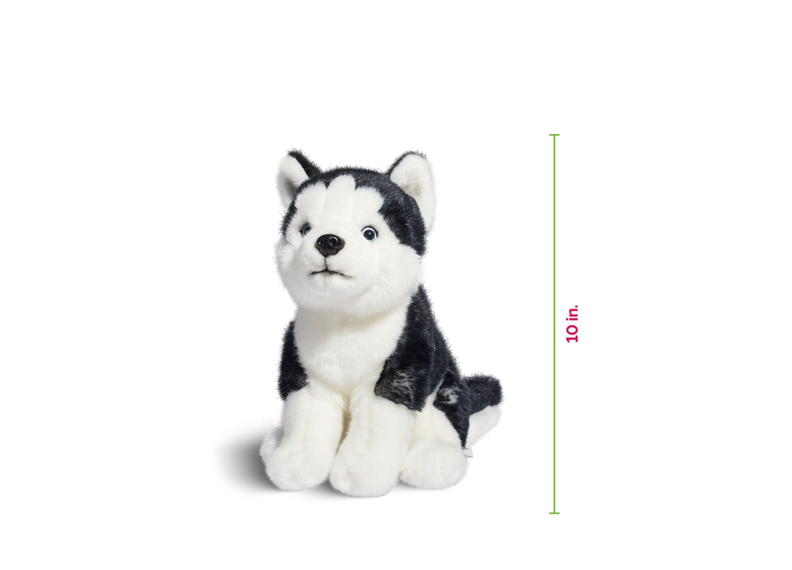 Geoffrey's Toy Box 10 inch Siberian Husky Plush Puppy - Exclusive at Macy's - Image 5