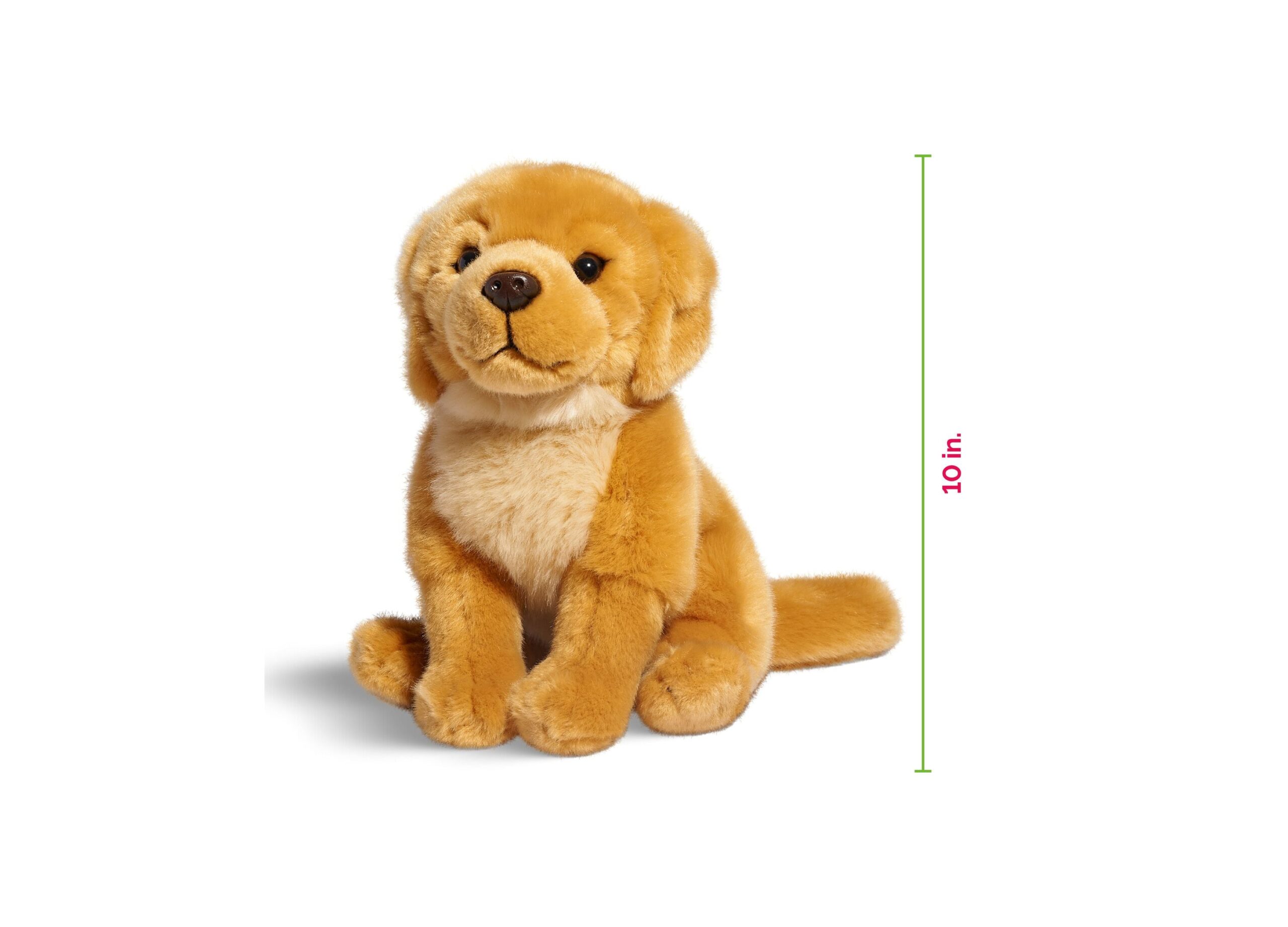 Geoffrey's Toy Box 10 inch Golden Retriever Puppy Plush Toy - Exclusive to Macy's - Image 6
