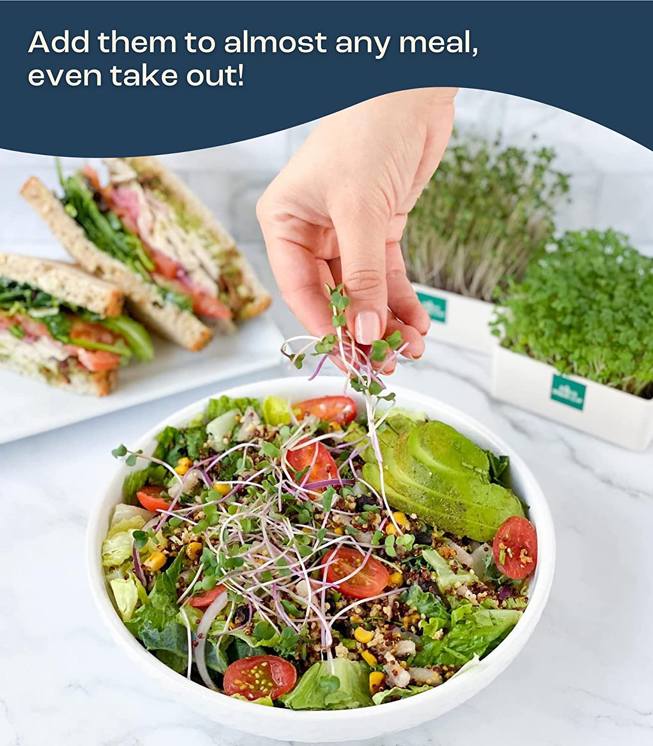 Urban Leaf Microgreen Starter Kit 2022 - Grow Fresh Anywhere - Image 2