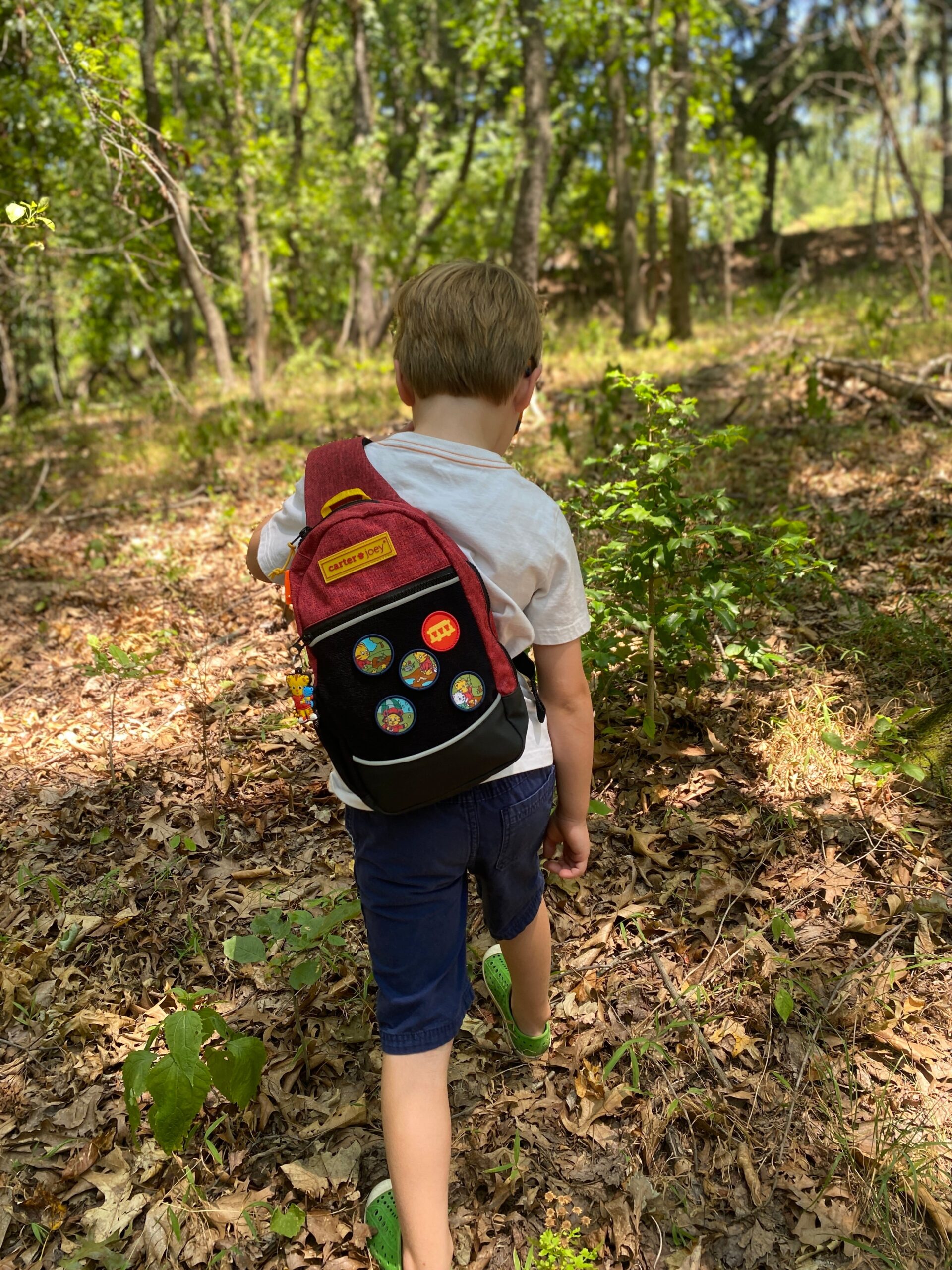 Daniel Tiger's Neighborhood x Carter Joey Nature Explorer Patches - Image 6