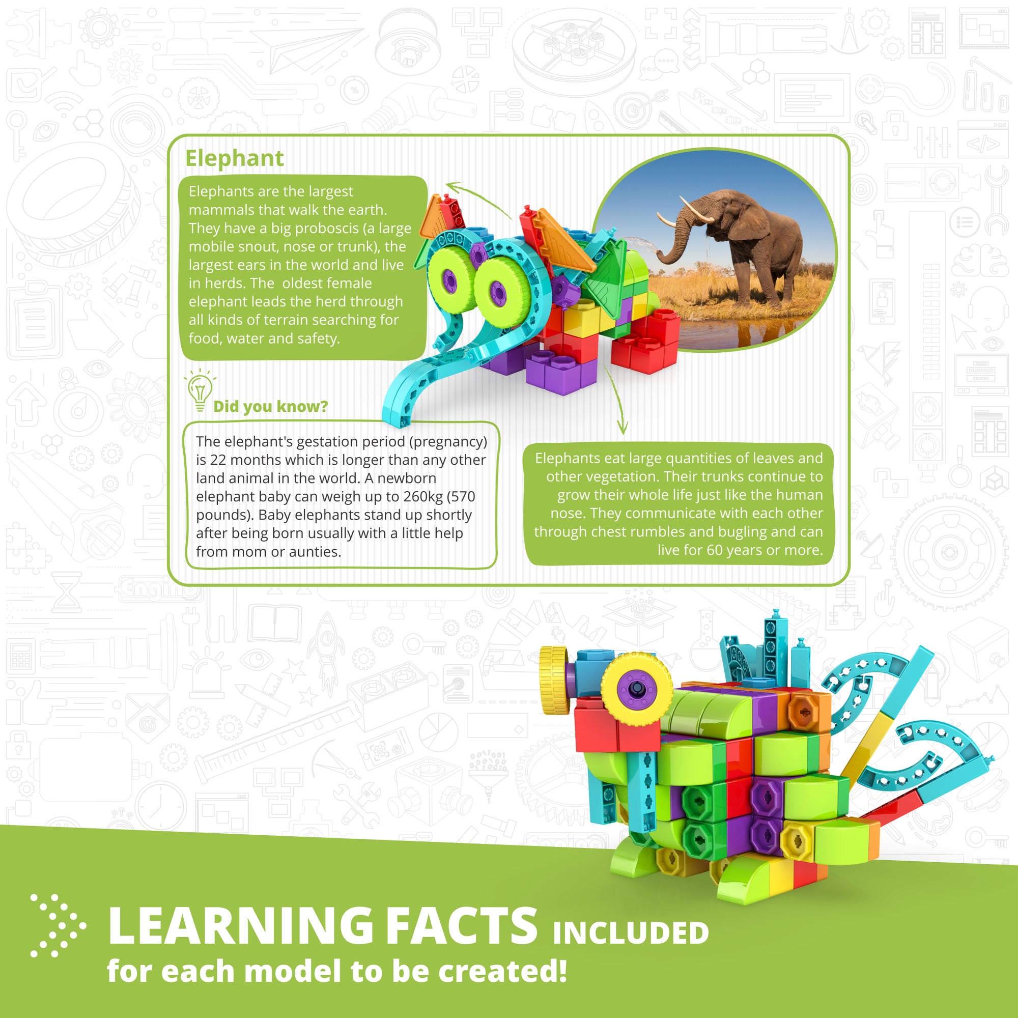Engino Qboidz Elephant 11-in-1 Building Set for Kids 4+ - Image 4